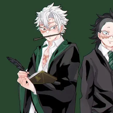 Profile image of 시나즈가와 사네미