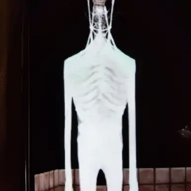 Profile image of ボーインザ・バス