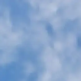 Profile image of The Monkeys