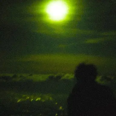 Profile image of Koru