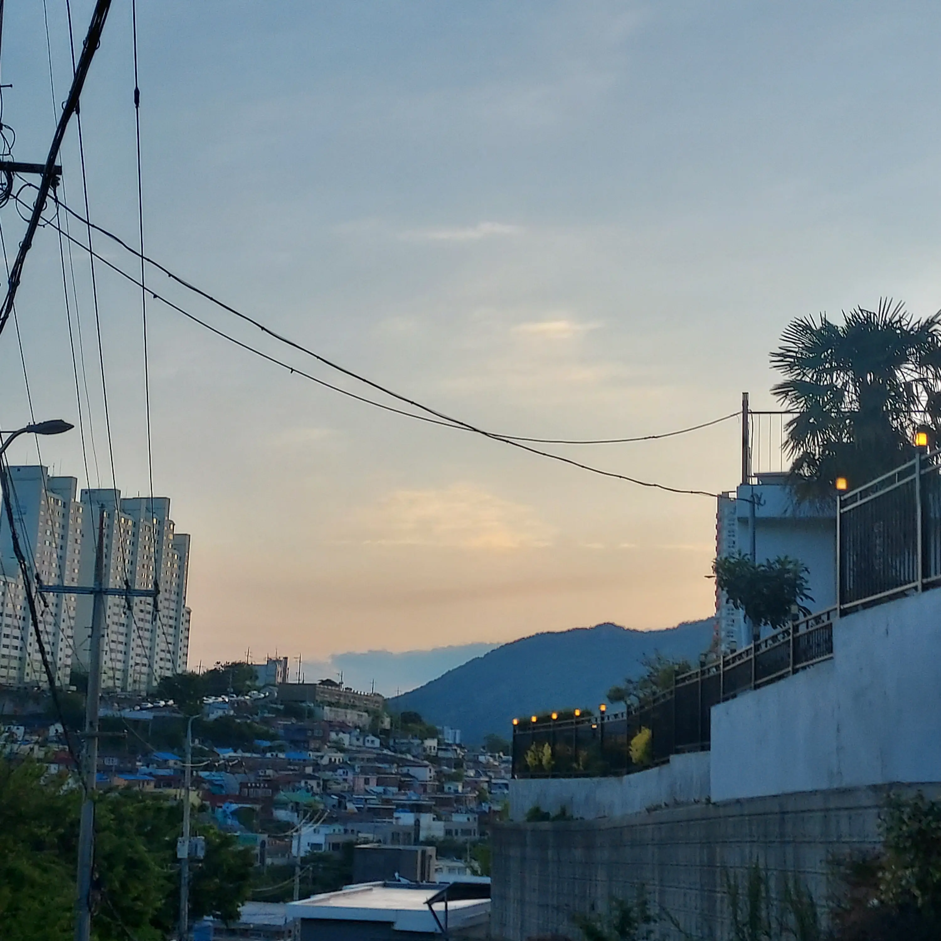 GivingLake5934의 사쿠라 하루카