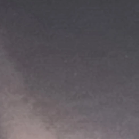 수현