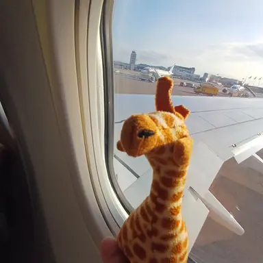 Profile image of Daegaltong Giraffa Rigo