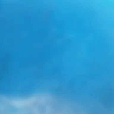 Profile image of 잭