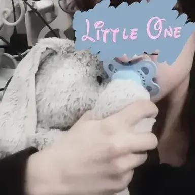 Profile image of Leo