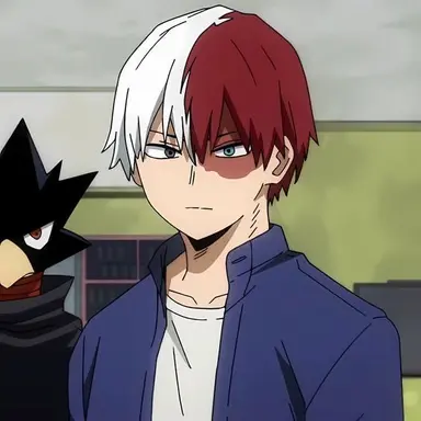 Profile image of Shoto Todoroki