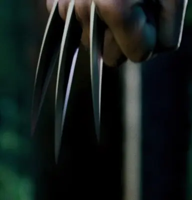 Profile image of Logan