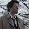 Profile image of Misha Collins