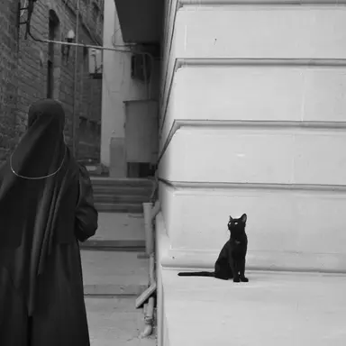 Profile image of 리조토 네로