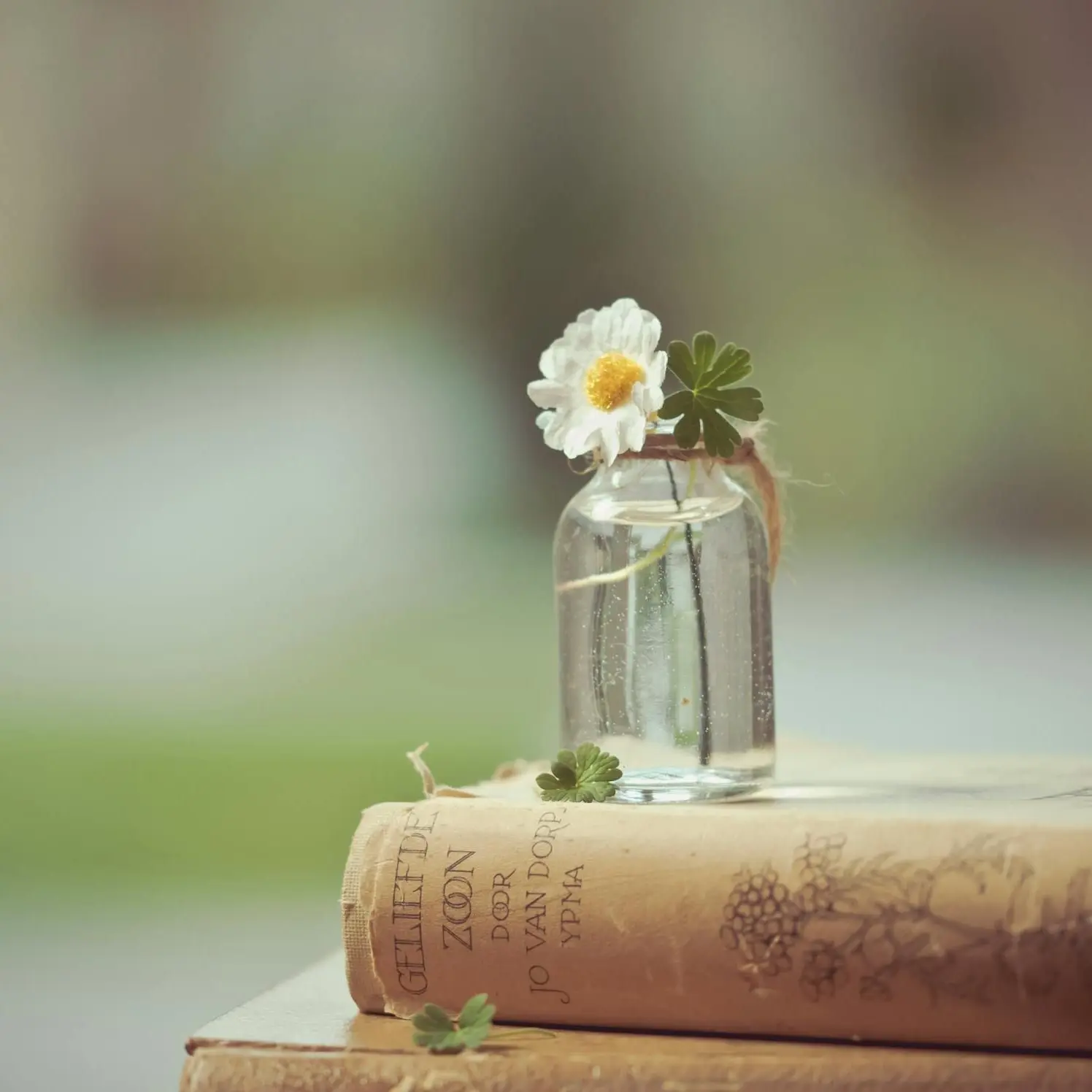 DottedOven2404의 삼각형이 싫은이유