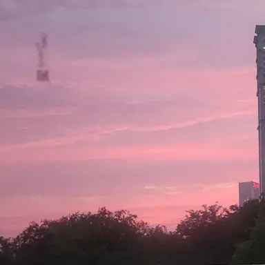 Profile image of 마녀 사냥