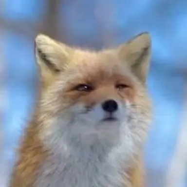 Profile image of 여우