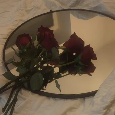 Profile image of 서 한 솔