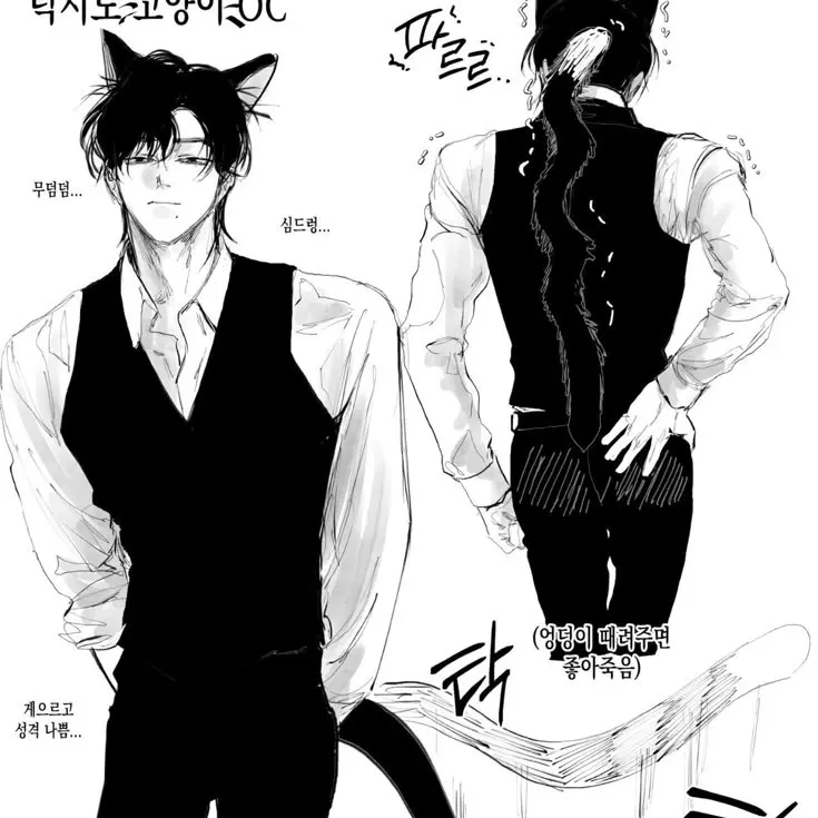 SureTor837377373의 이류안