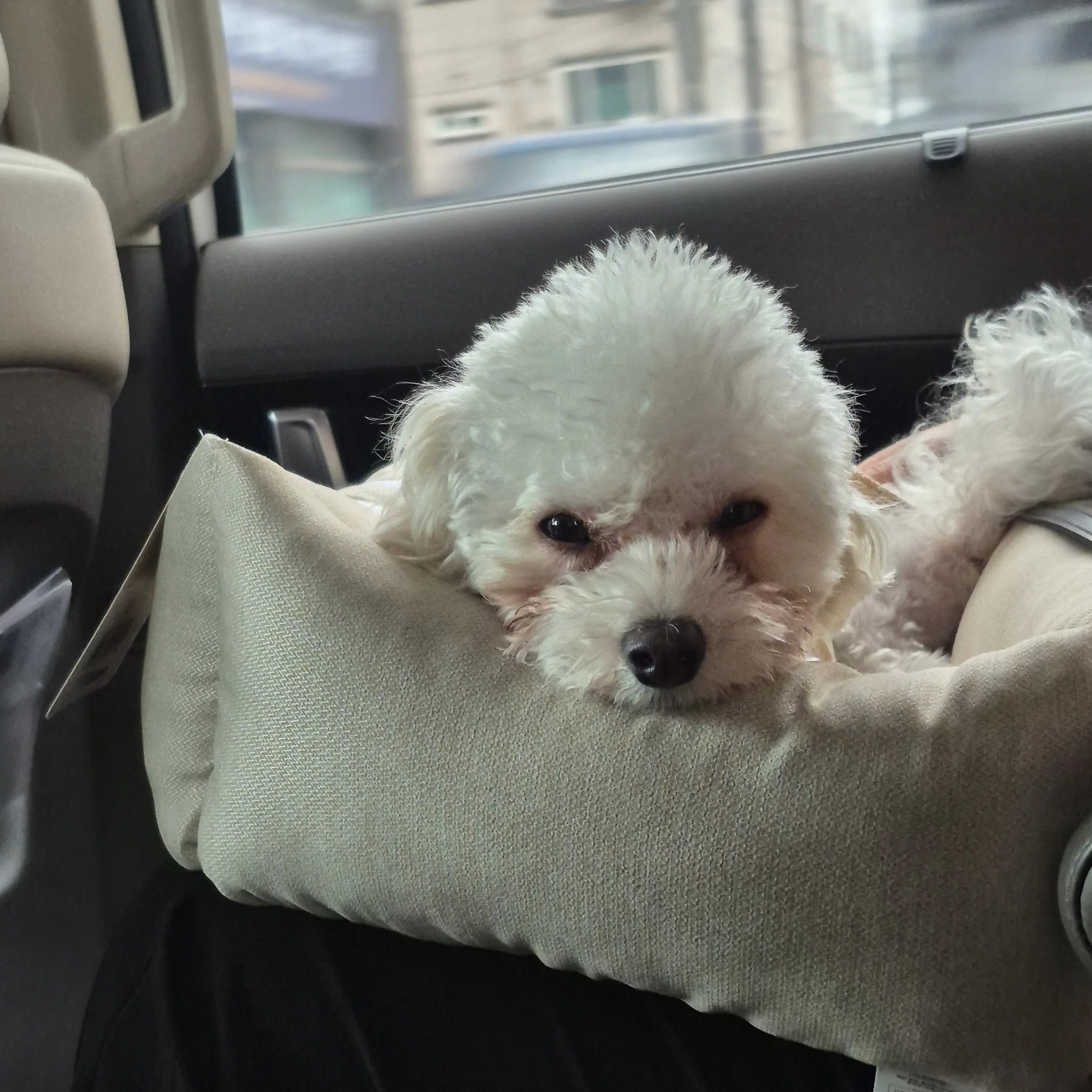 BoneBear3731의 주정혁