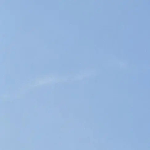 lid의 폭염