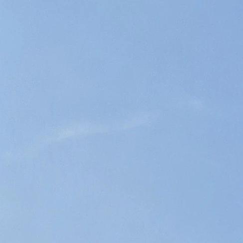 폭염