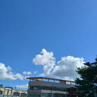 Profile image of 막내 밥풀이