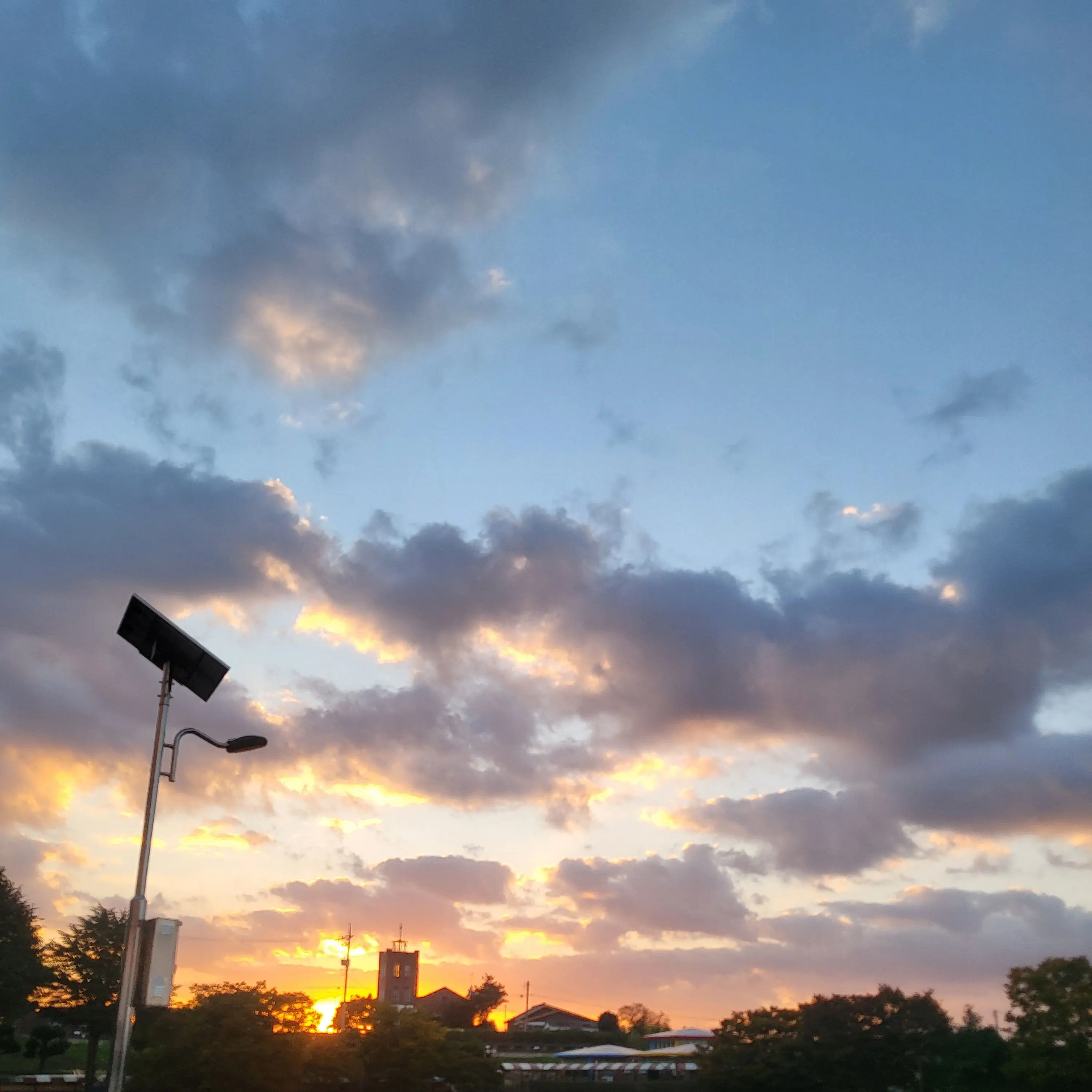 intp0710의 도망자들