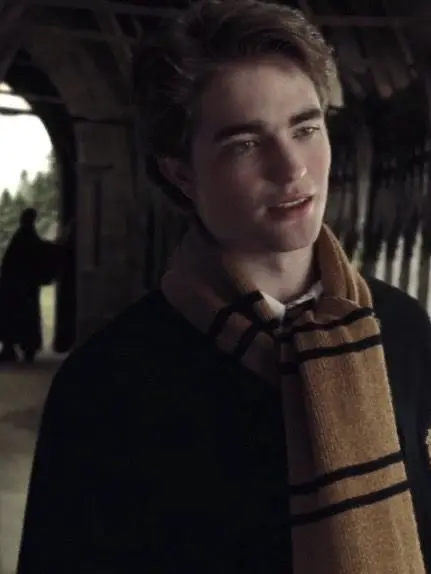 EloiseMicheals247의 Cedric Diggory 🦡✨