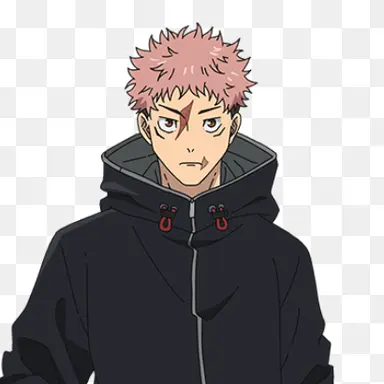 Profile image of 虎杖悠仁