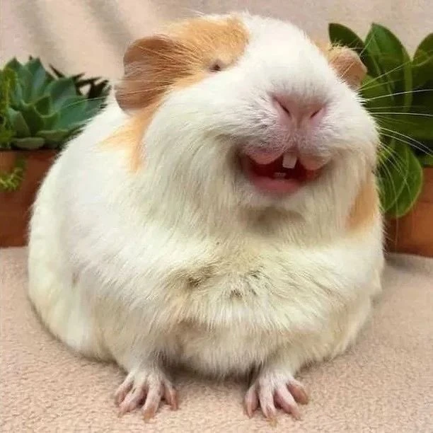 후지나가