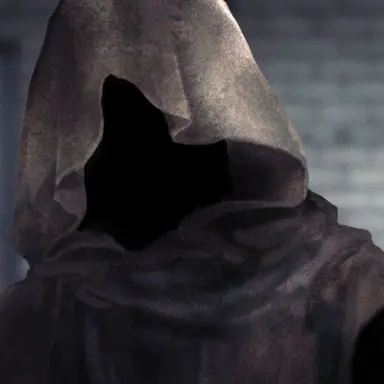 Profile image of フードの男