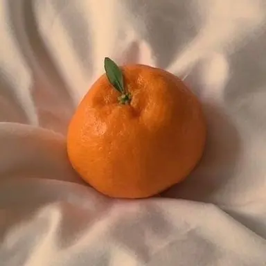 Profile image of 박덕개