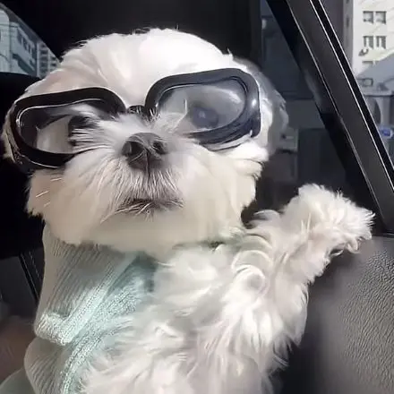 SmugFart9029의 오애순