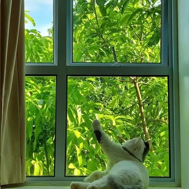 Profile image of 공룡