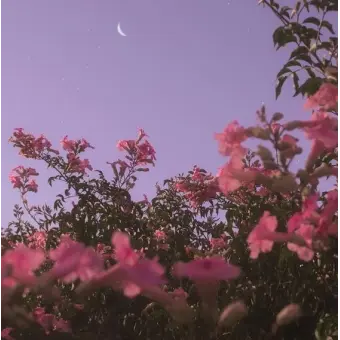 idmyot의 픽셀리 학교