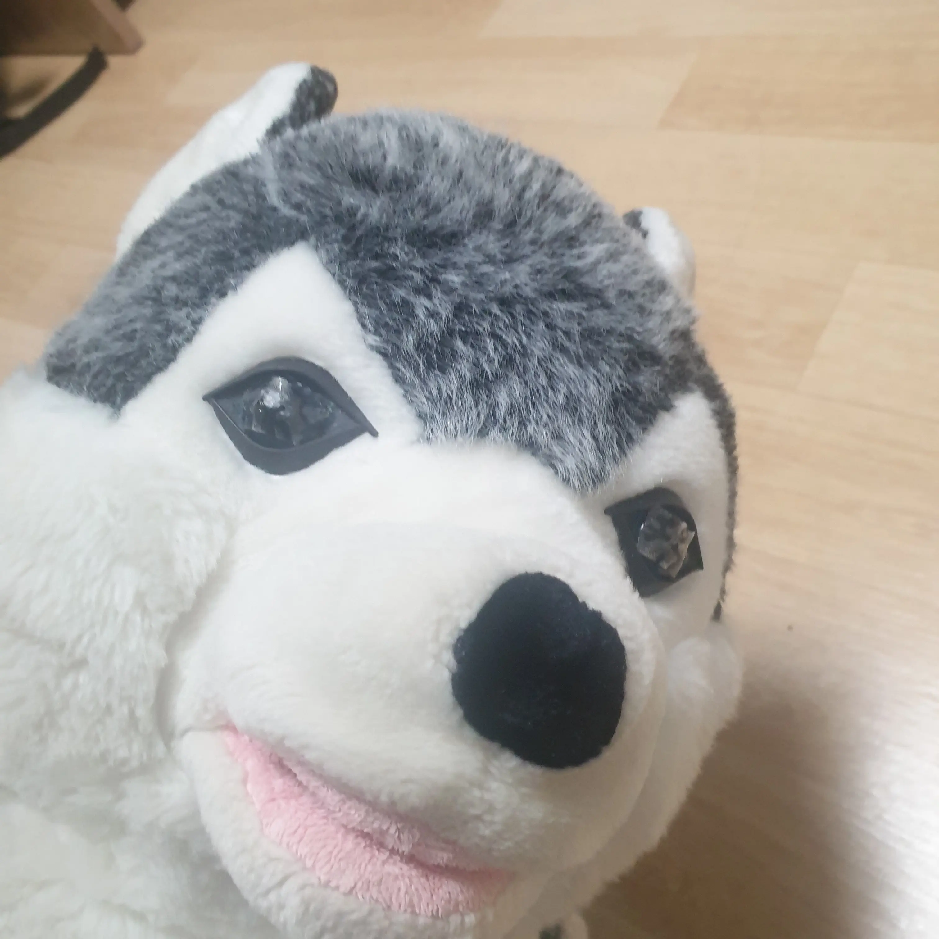 SilverShare9497의 판타지