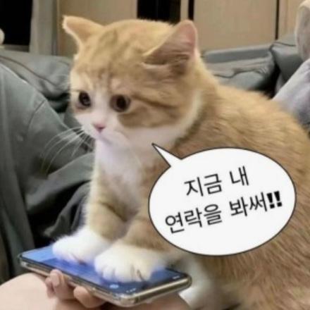 하윤 대표 이미지
