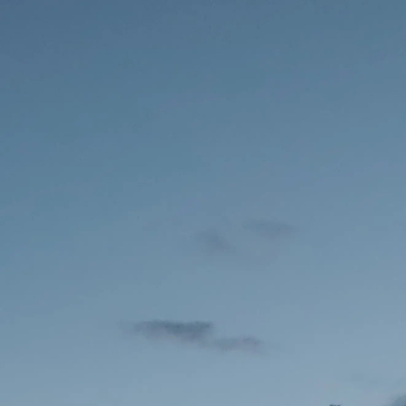 Spanje의 대저택,고프,팀나빠,꽥꽥탐험,여우