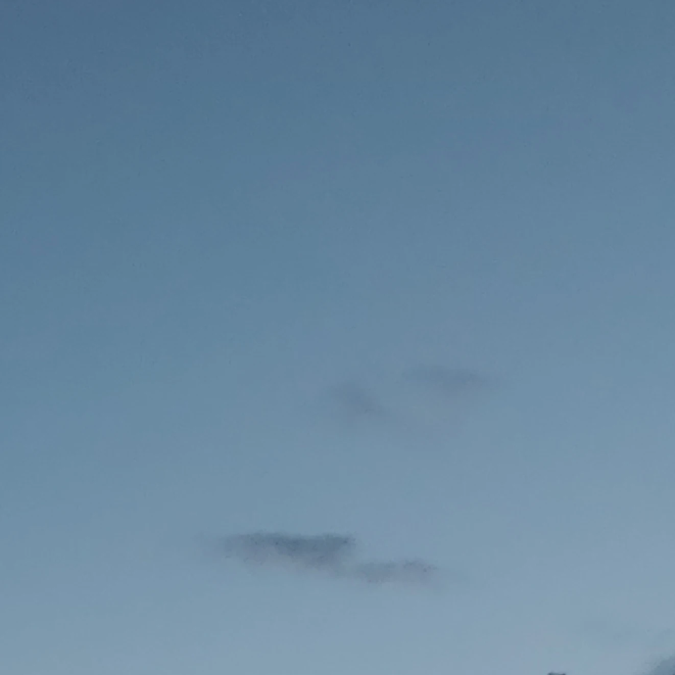 대나고 꽥 여우늑대