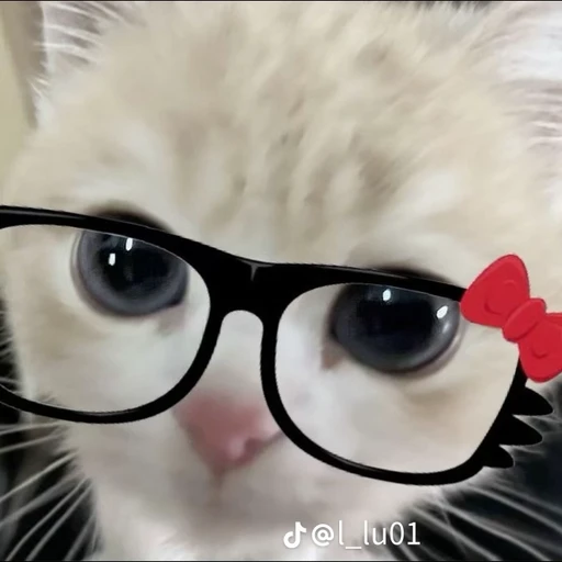 김건우