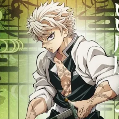 Profile image of 시나즈가와 사네미