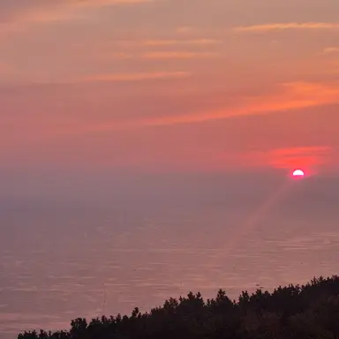 Profile image of 삐리뽀