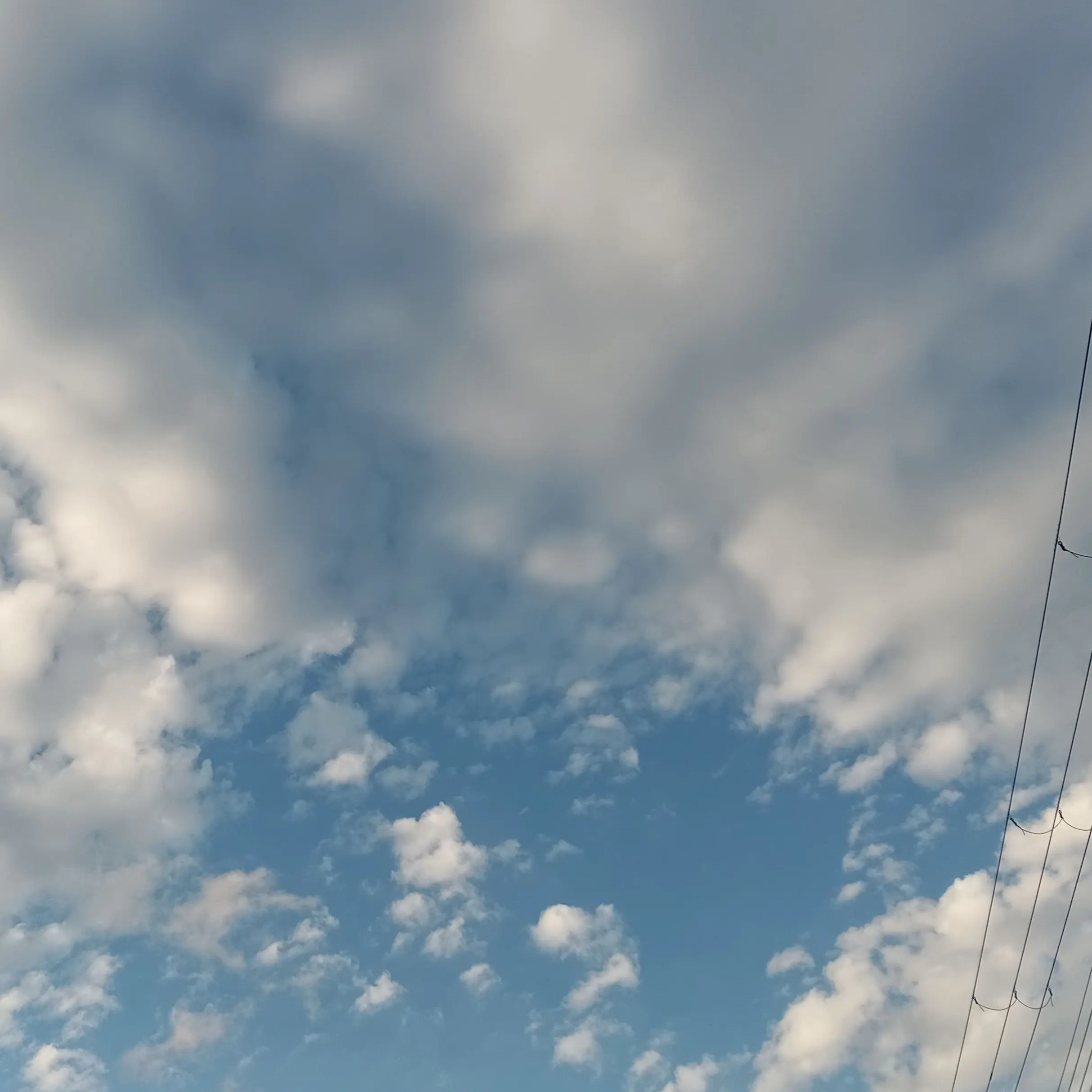 FrostyVeery5115의 一目惚れ