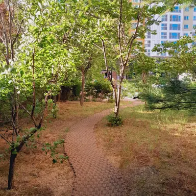 Profile image of 헨리 카빌