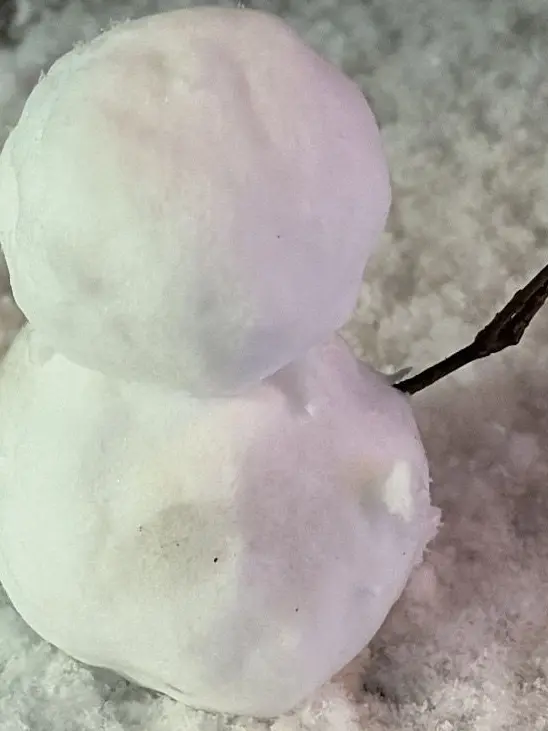 VioletPotoo4976의 ㄴ허널ㅋ훝후후텋녁