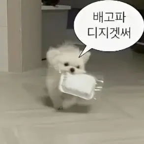 Profile image of 이이요 칸나라오