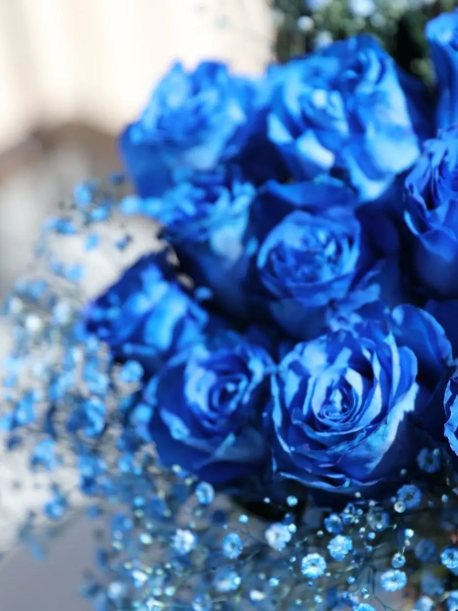 Kemuri_777_의 Dom/Subユニバース  拾った頃