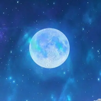 Profile image of 픽셀리 기사단