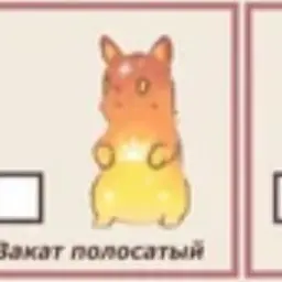 Profile image of 버닝스파이스
