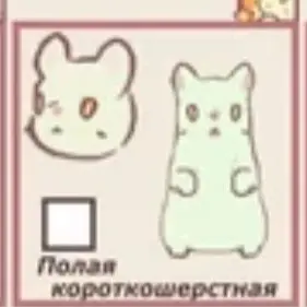 Profile image of 미스틱플라워