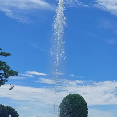 Profile image of 최승현