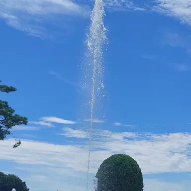 Profile image of 권지용