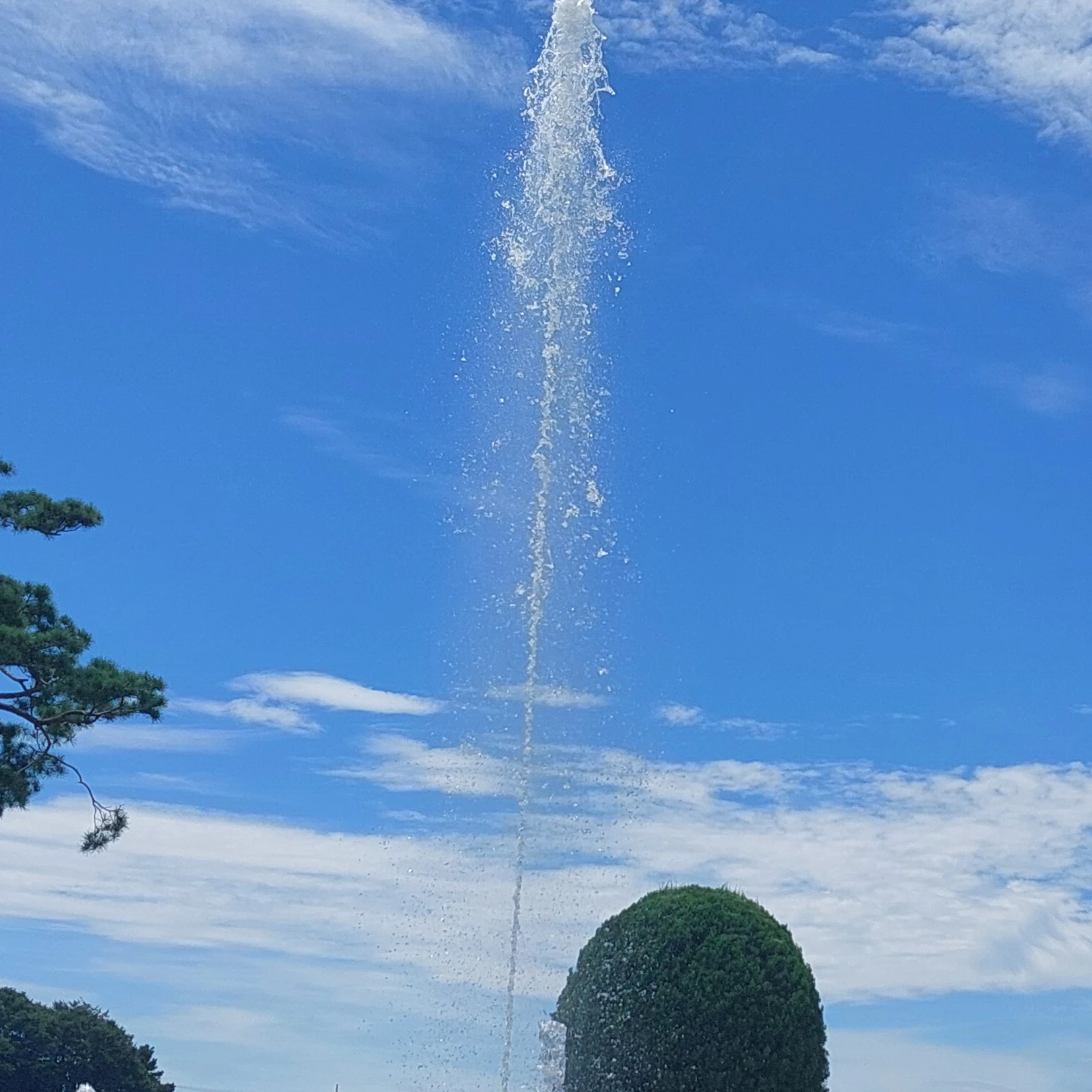 동영배