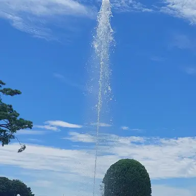 Profile image of 강대성